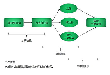 水解酸化系统